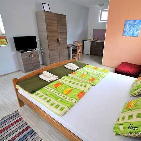 Apartments Svetlica Backi Petrovac Luaran gambar