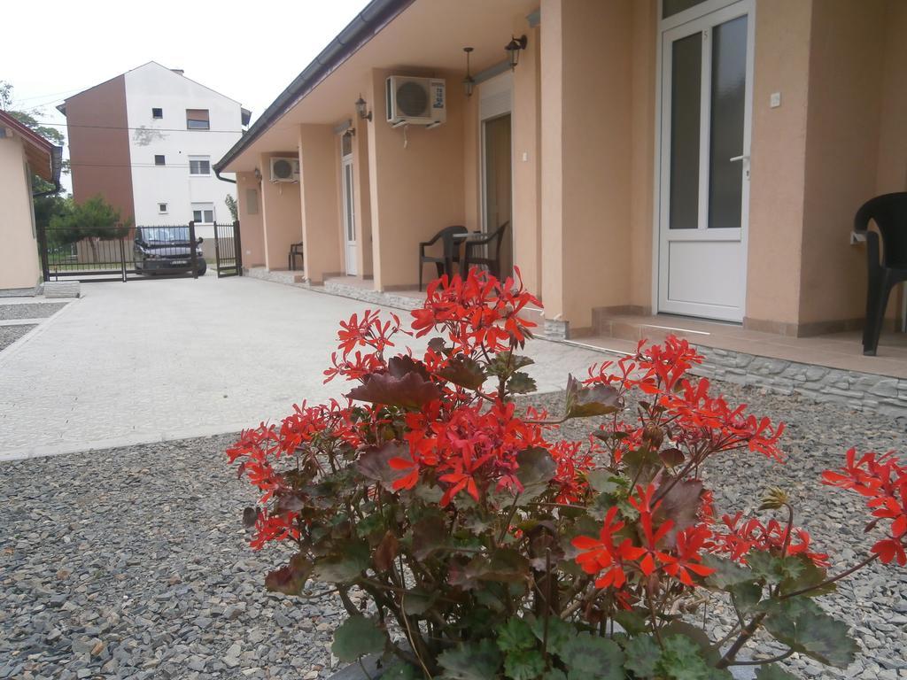 Apartments Svetlica Backi Petrovac Luaran gambar